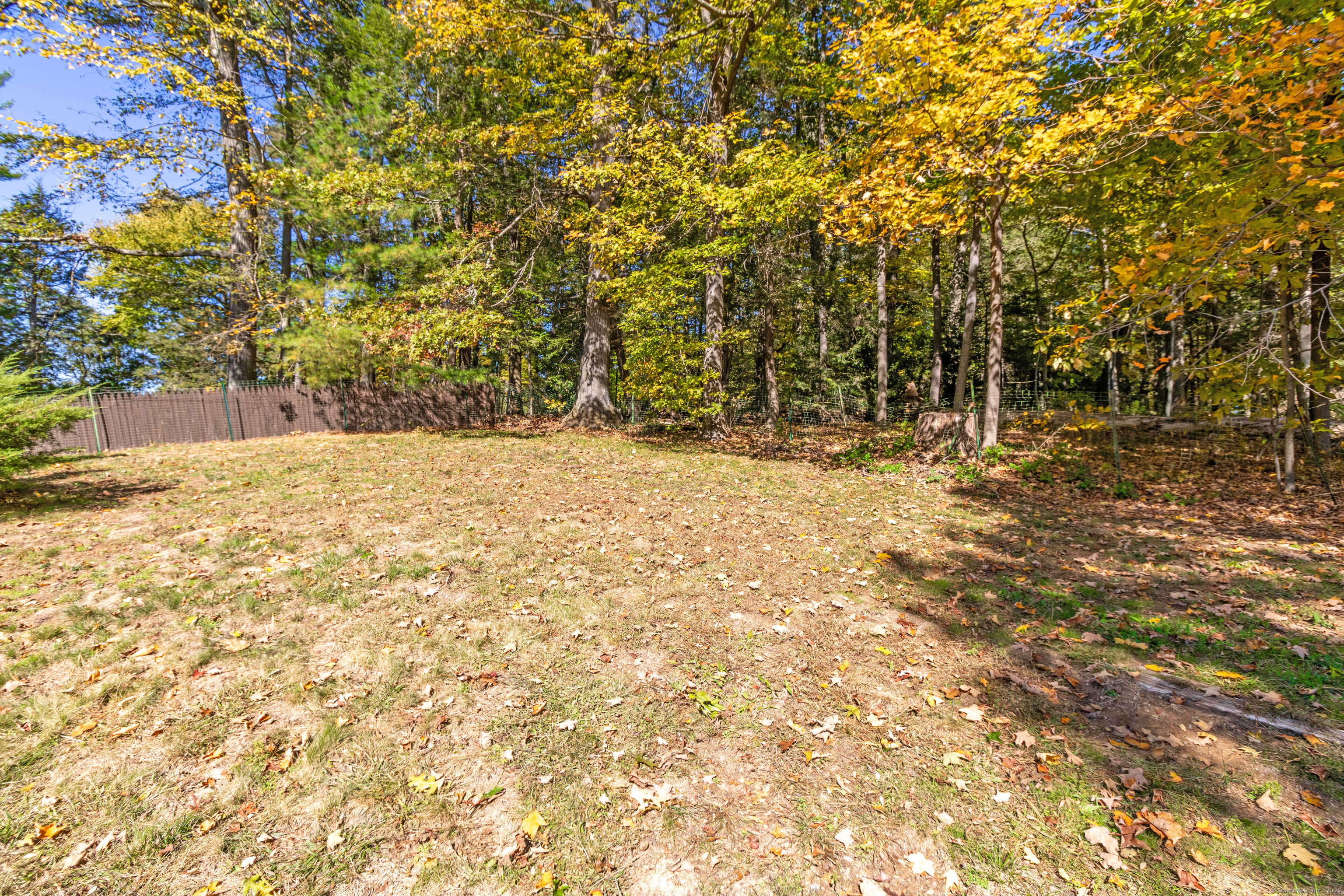 26 Firetown Road Simsbury, CT 06070 - Photo 37 of 40 a view of a yard with trees