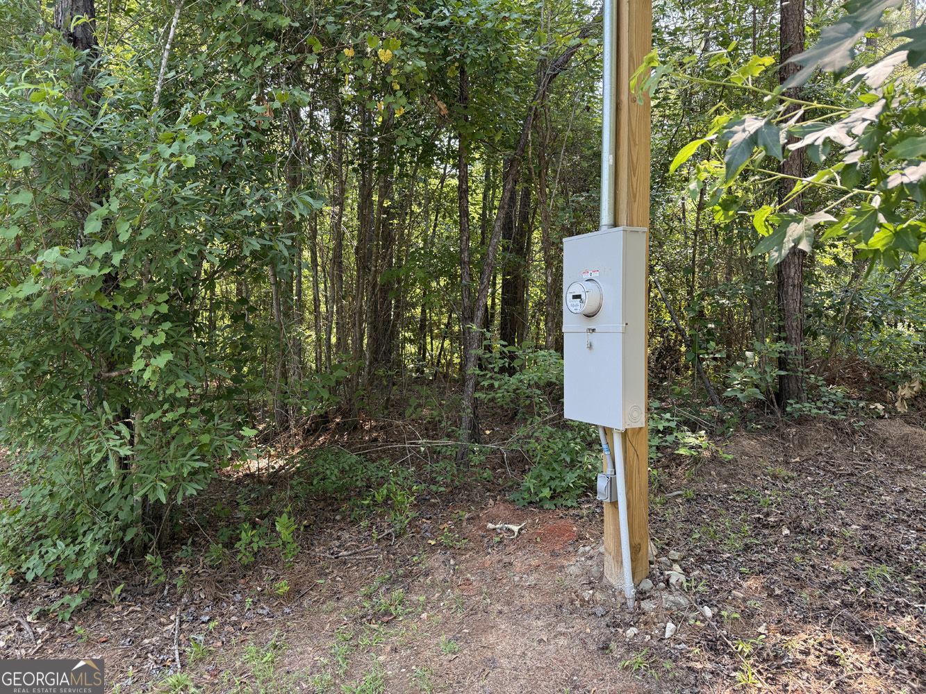 651 Branan Road Toomsboro, GA 31090 - Photo 39 of 53