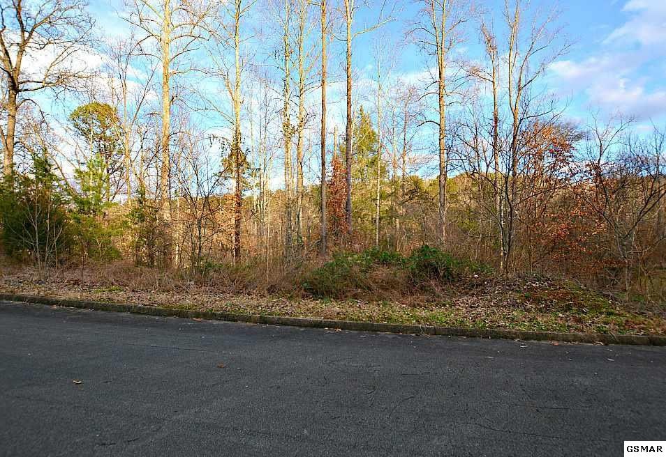 59 Mistletoe Loop Sevierville, TN 37876 - Photo 5 of 6 Gallery Image 5