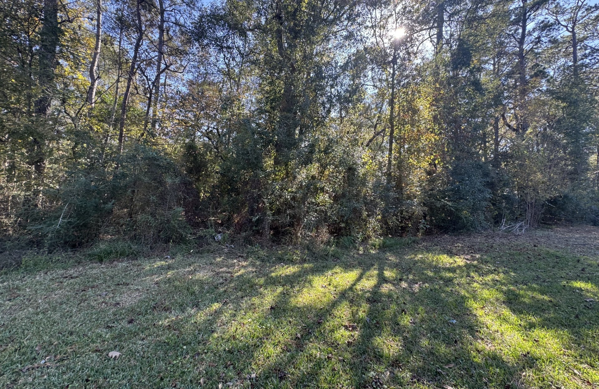 Tbd Hunters Trail New Caney, TX 77357 - Photo 1 of 9 a view of a yard with large trees