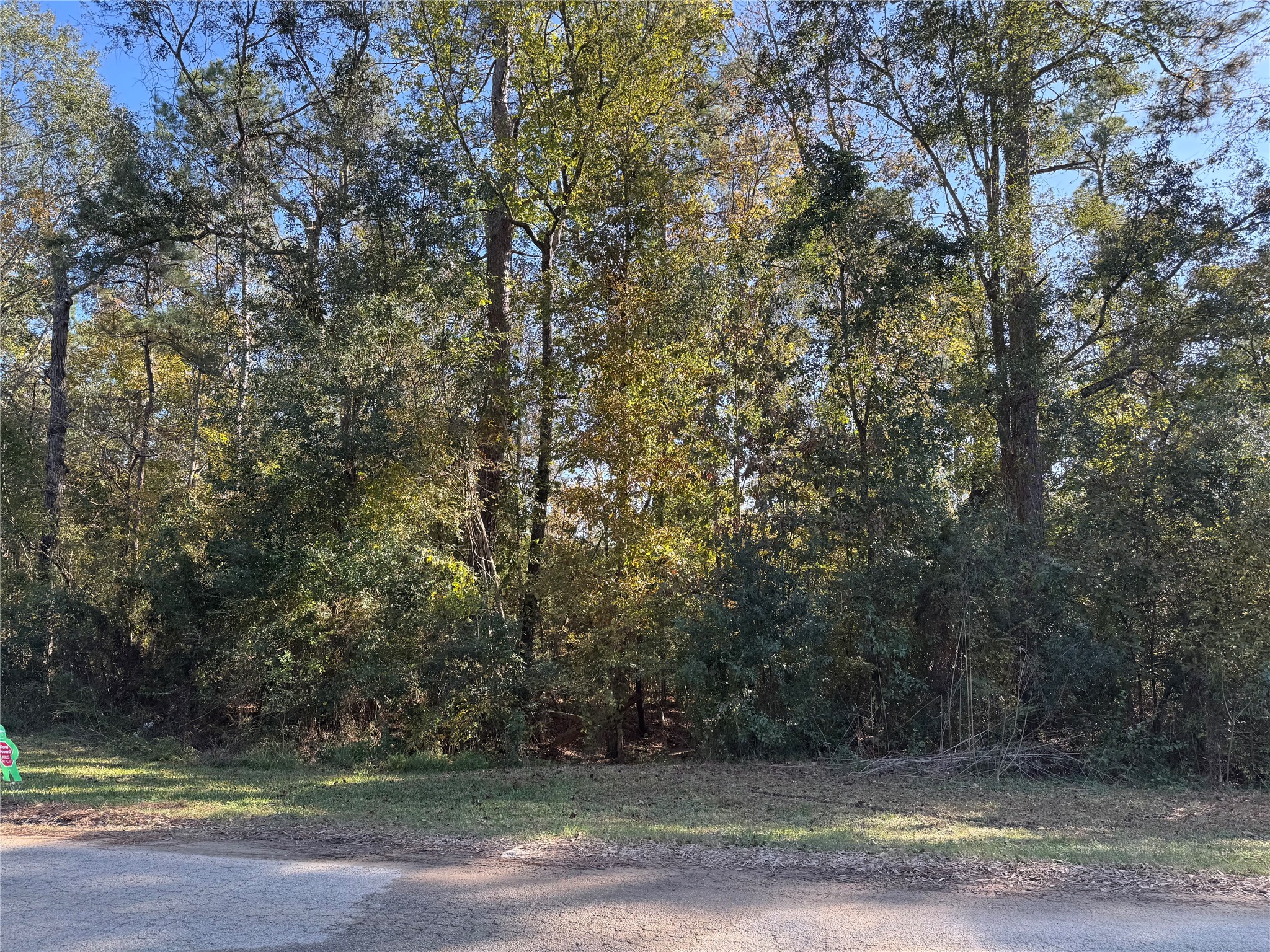 Tbd Hunters Trail New Caney, TX 77357 - Photo 2 of 9 a view of a yard with a trees
