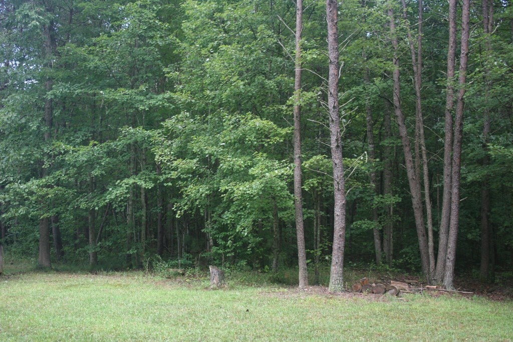 251 1 Horse Road Buckingham, VA 23921 - Photo 2 of 20 Gallery Image 2
