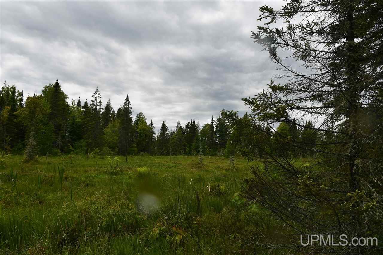 Tbd Mud Lake Road Lake Linden, MI 49945 - Photo 24 of 28