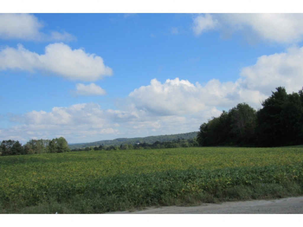 1161 Lime Kiln Road Charlotte, VT 05445 - Photo 2 of 15 Gallery Image 2
