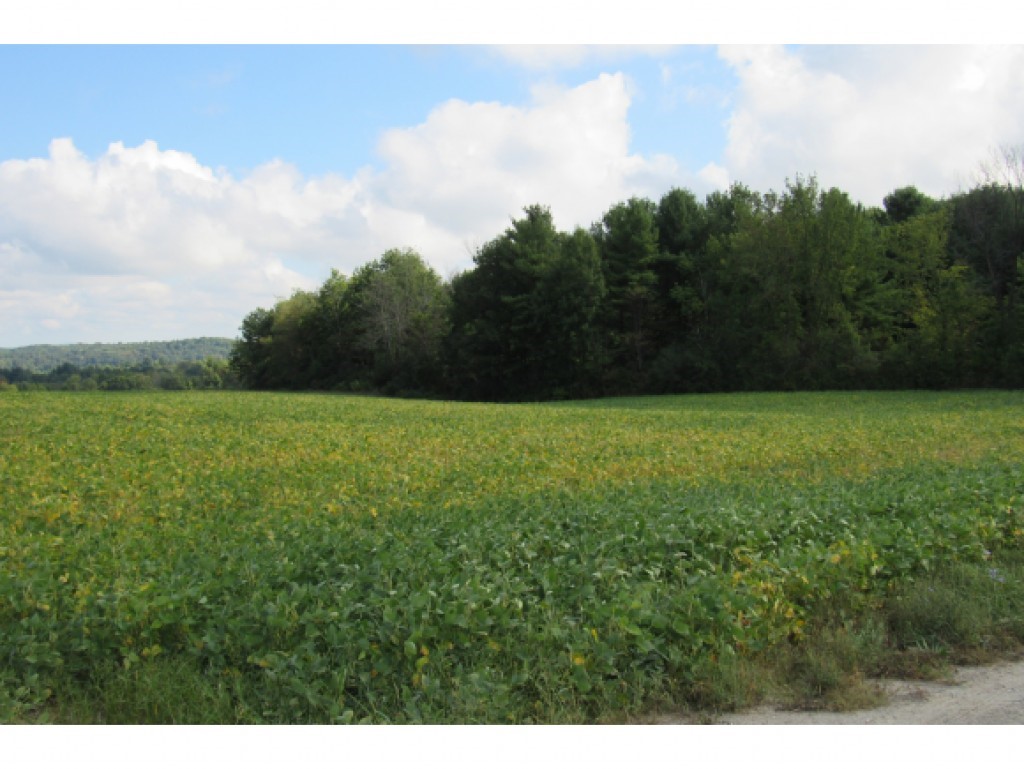 1161 Lime Kiln Road Charlotte, VT 05445 - Photo 3 of 15 Gallery Image 3