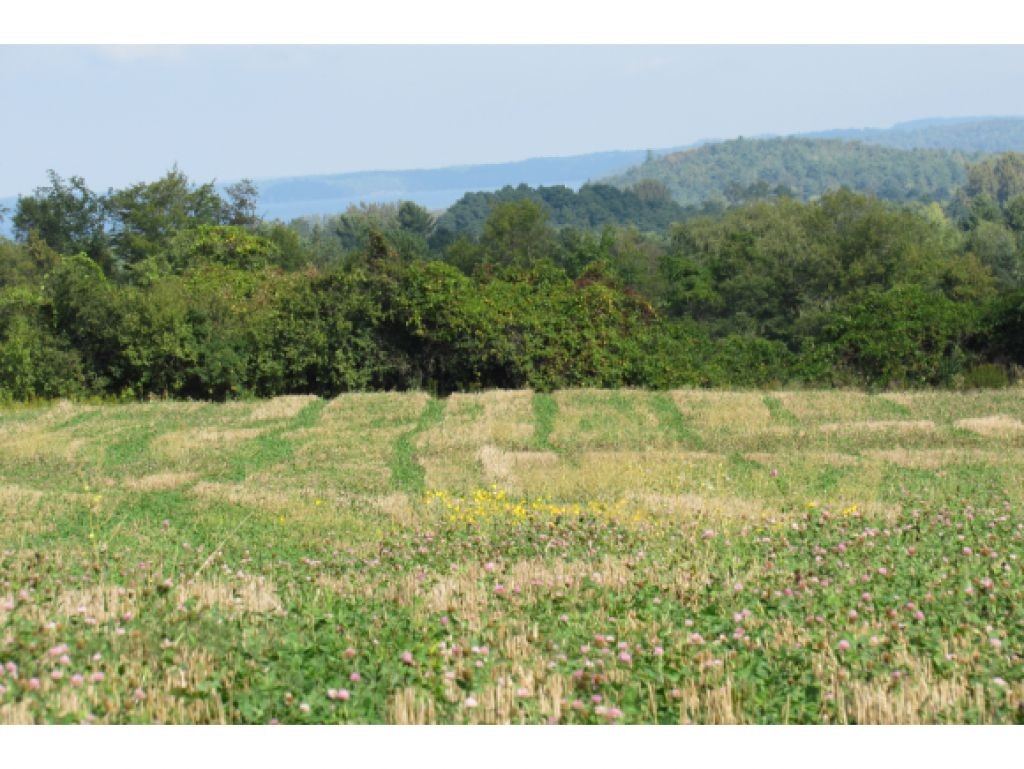 1161 Lime Kiln Road Charlotte, VT 05445 - Photo 7 of 15 Gallery Image 7