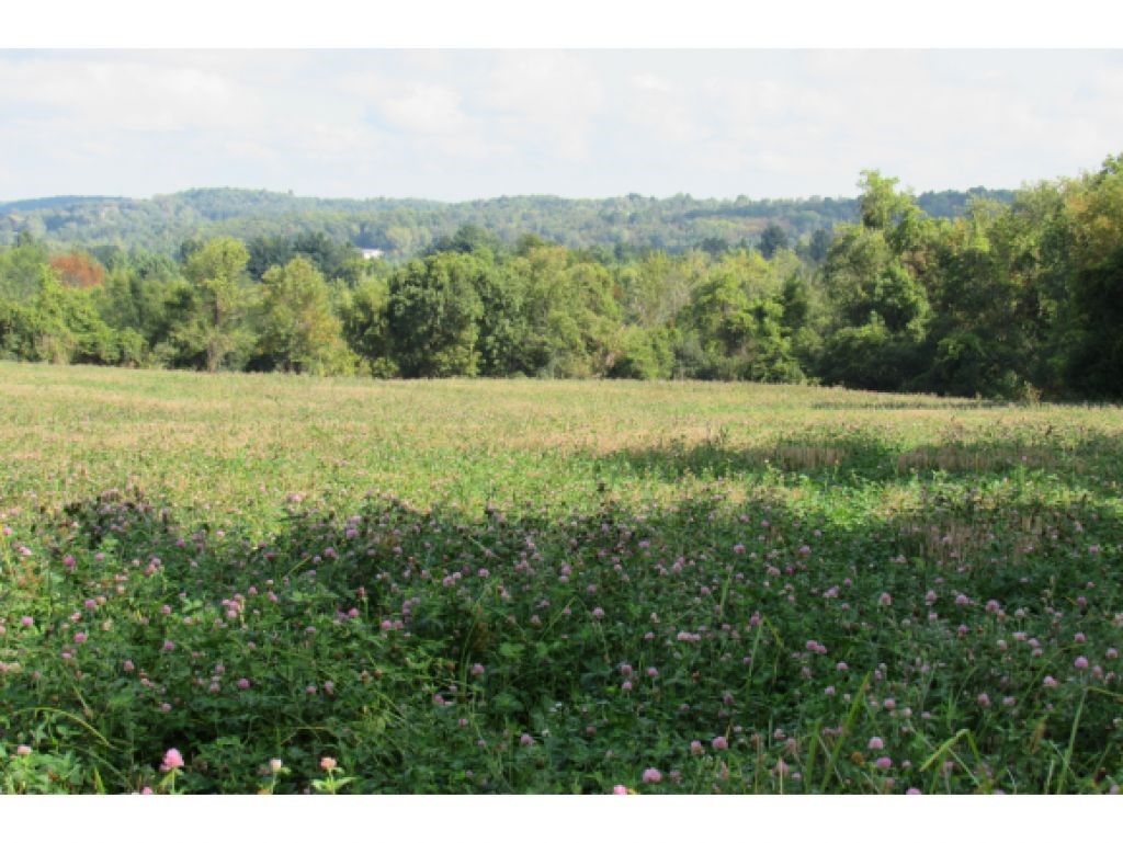 1161 Lime Kiln Road Charlotte, VT 05445 - Photo 8 of 15 Gallery Image 8