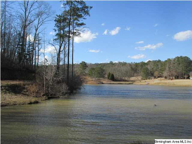 596 Signal Valley Trail Chelsea, AL 35043 - Photo 29 of 30