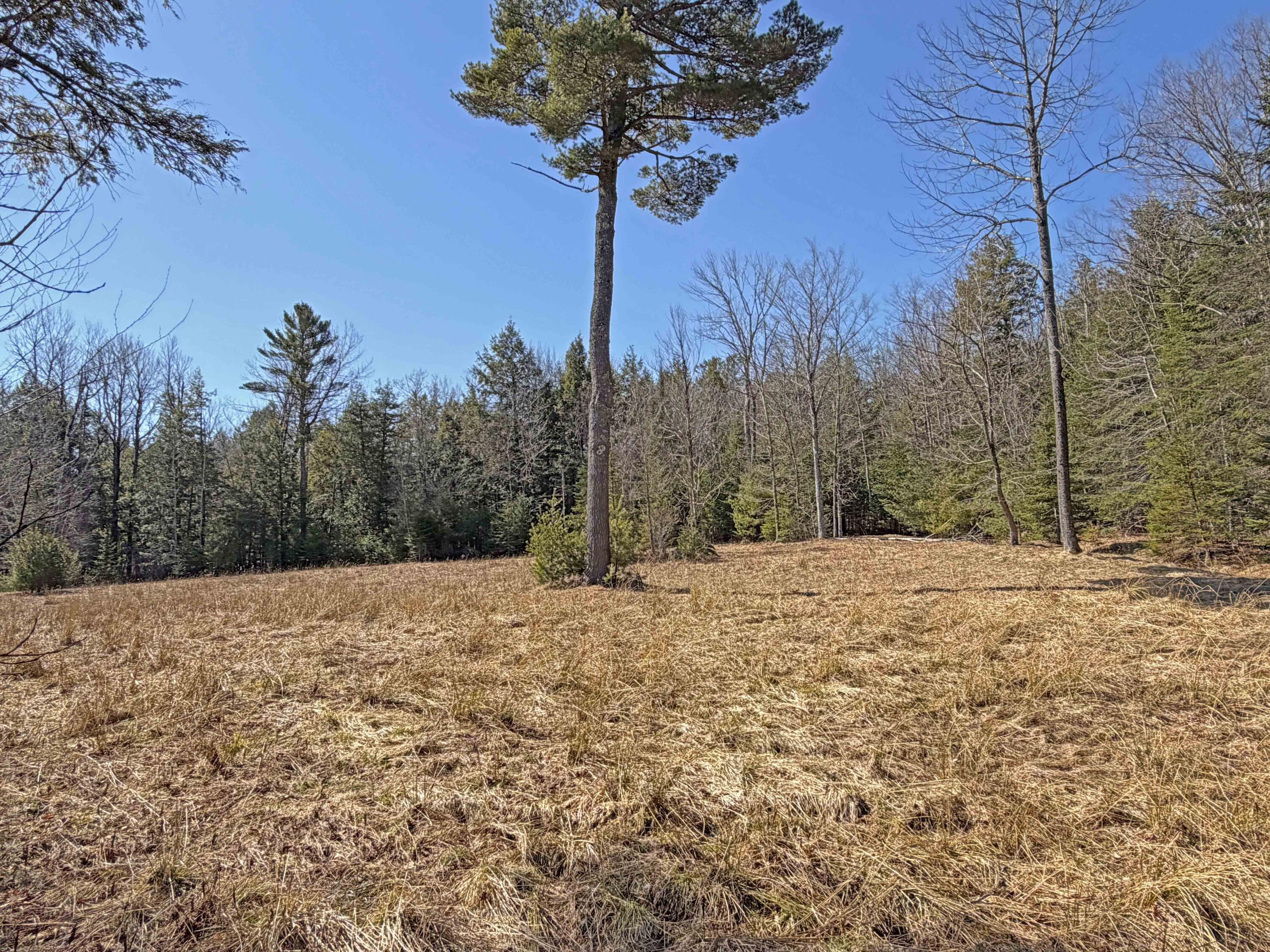 685 Main Road Holden, ME 04429 - Photo 50 of 53 3g