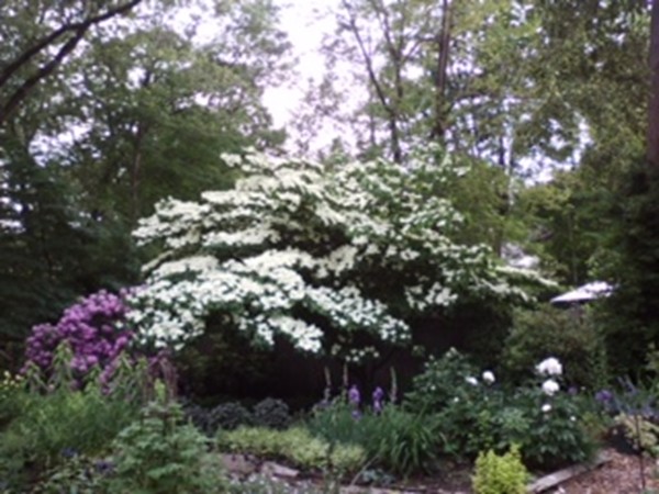 121 Warren Road Framingham, MA 01702 - Photo 30 of 30 Gallery Image 30