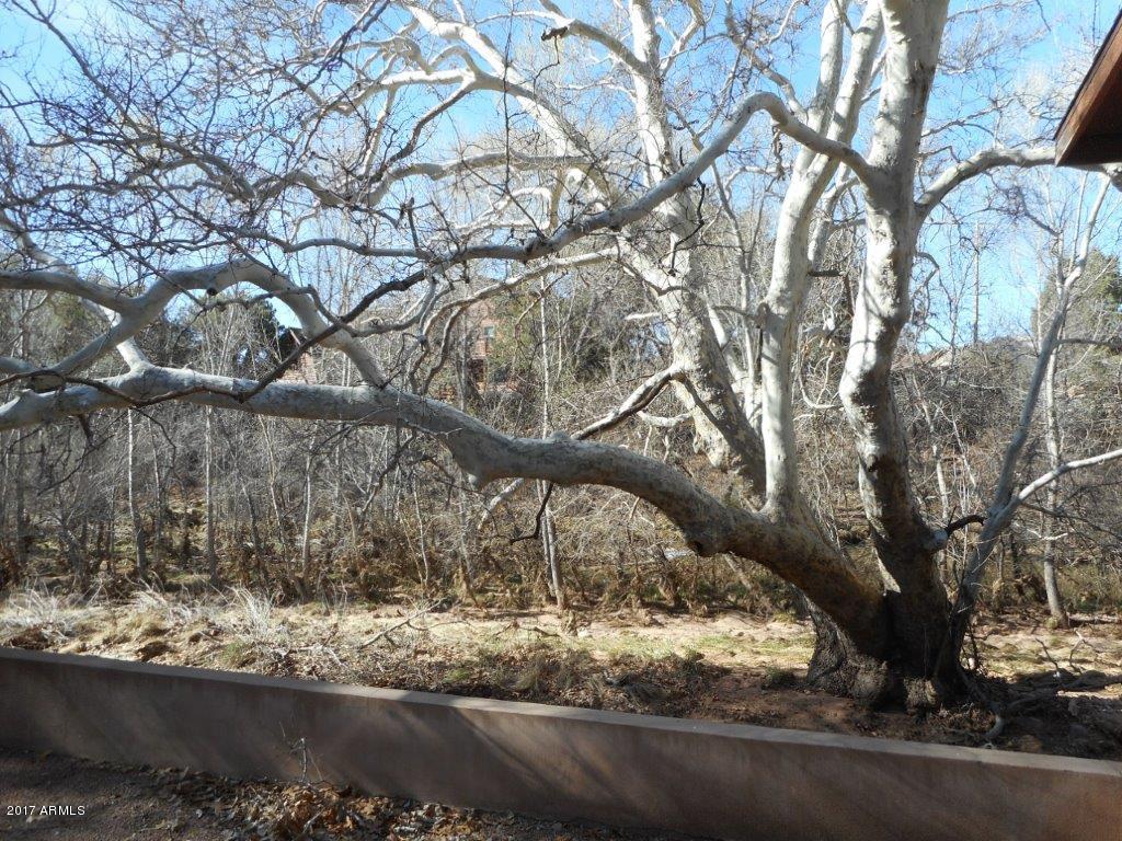 862 Beaver Flat Road Payson, AZ 85541 - Photo 3 of 17 006