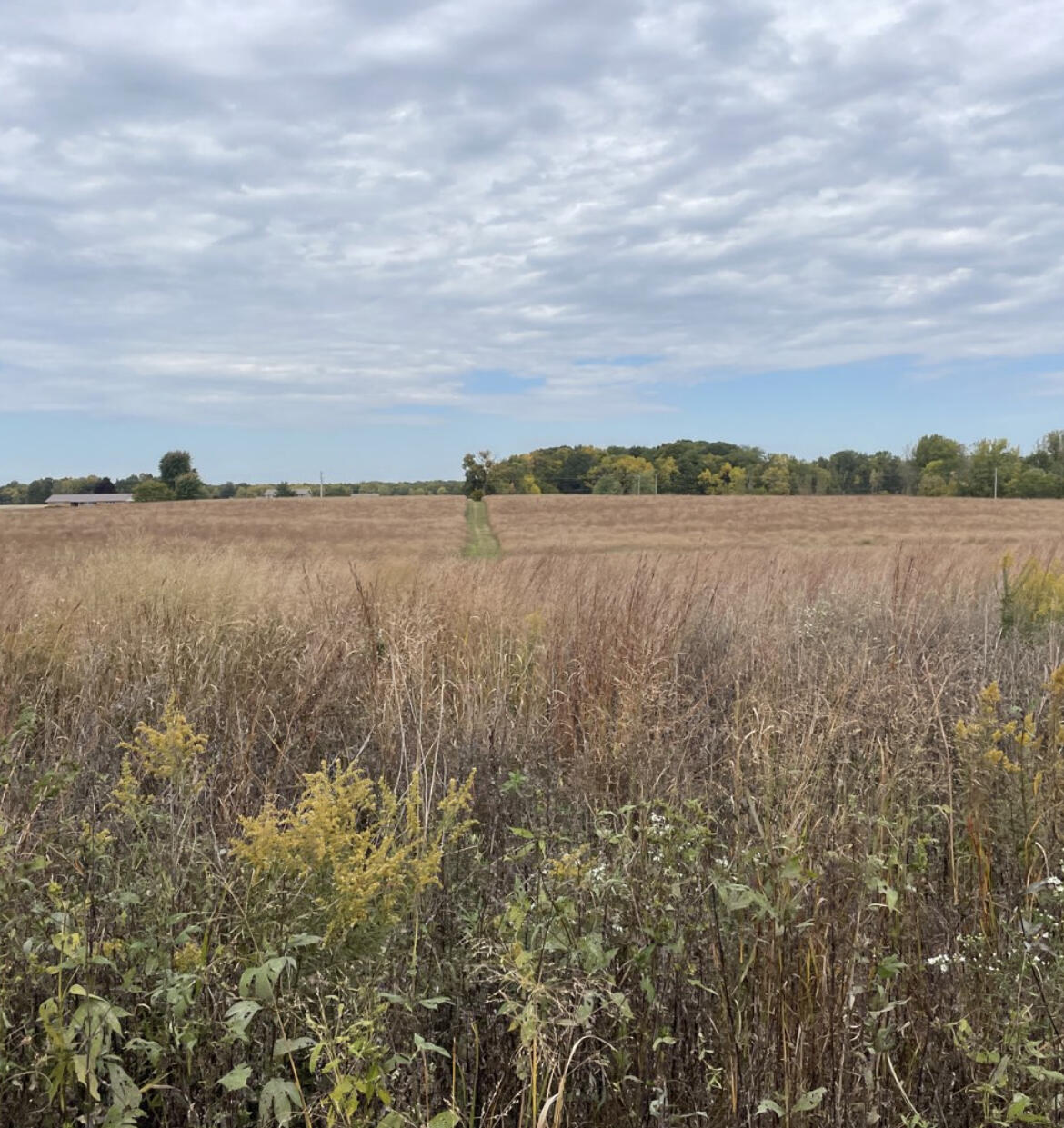 0 Morral-Kirkpatrick Road Morral, OH 43337 - Photo 14 of 24