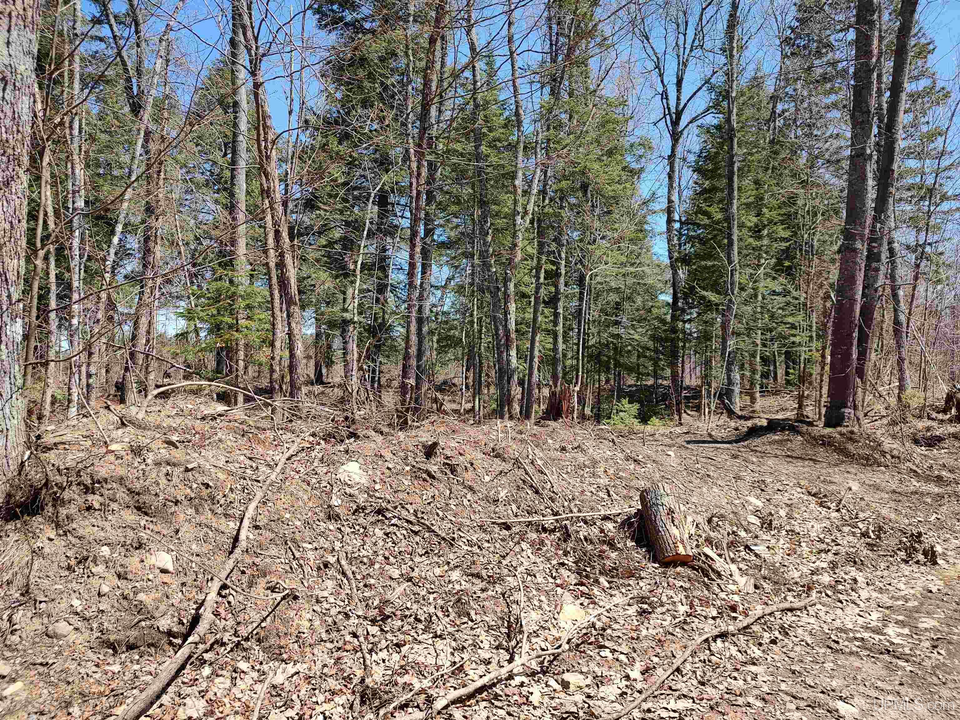 Tbd Black Creek Road Skanee, MI 49962 - Photo 8 of 13