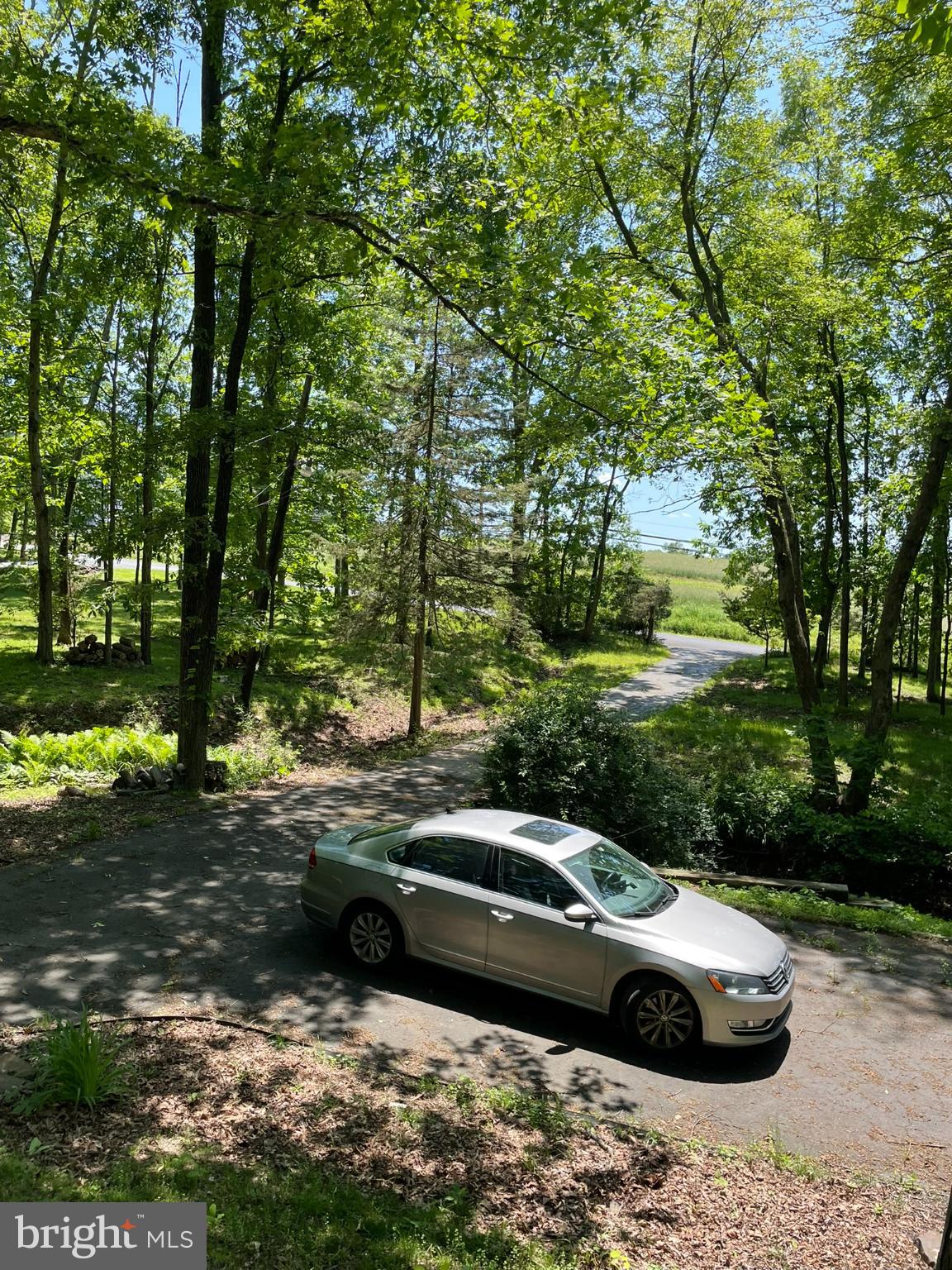779 Center School Road Perkasie, PA 18944 - Photo 15 of 15 Serene drive through lush greenery.