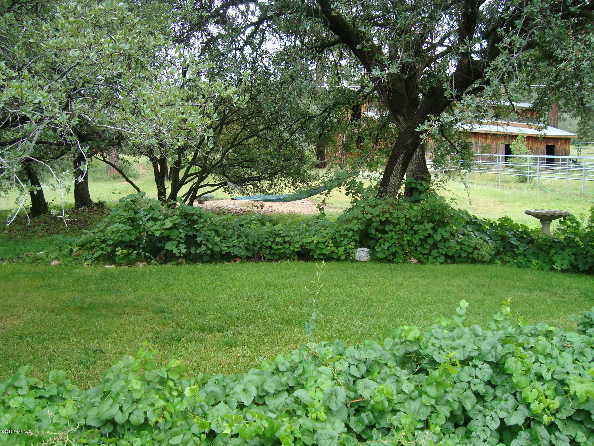 2527 Shadow Valley Ranch Road Prescott, AZ 86305 - Photo 10 of 28 DSC02278