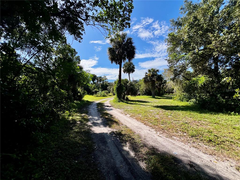 847 Snow Hill Road Geneva, FL 32732 - Photo 10 of 14 Gallery Image 10