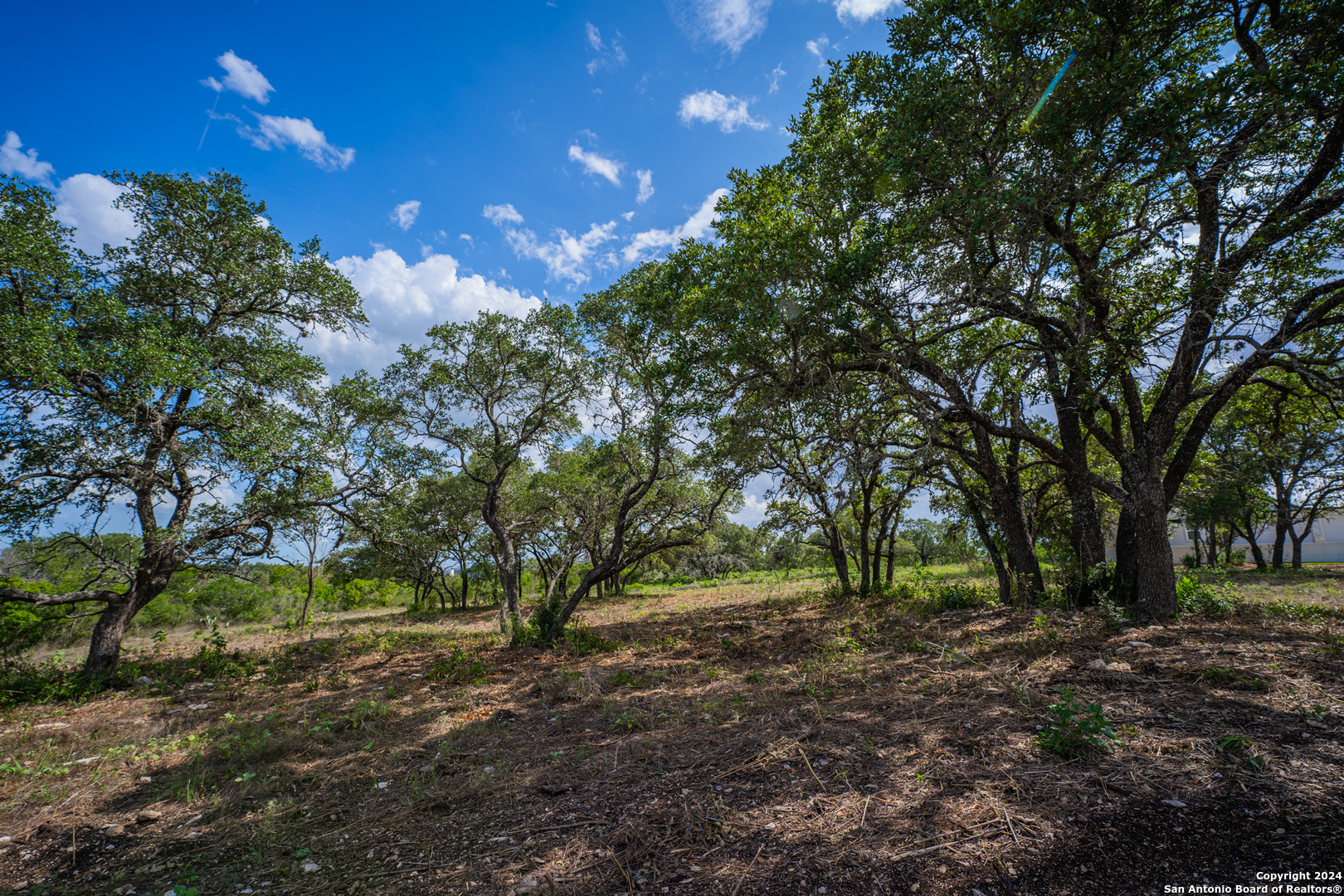 13402 Lucas Circle San Antonio, TX 78245 - Photo 26 of 38