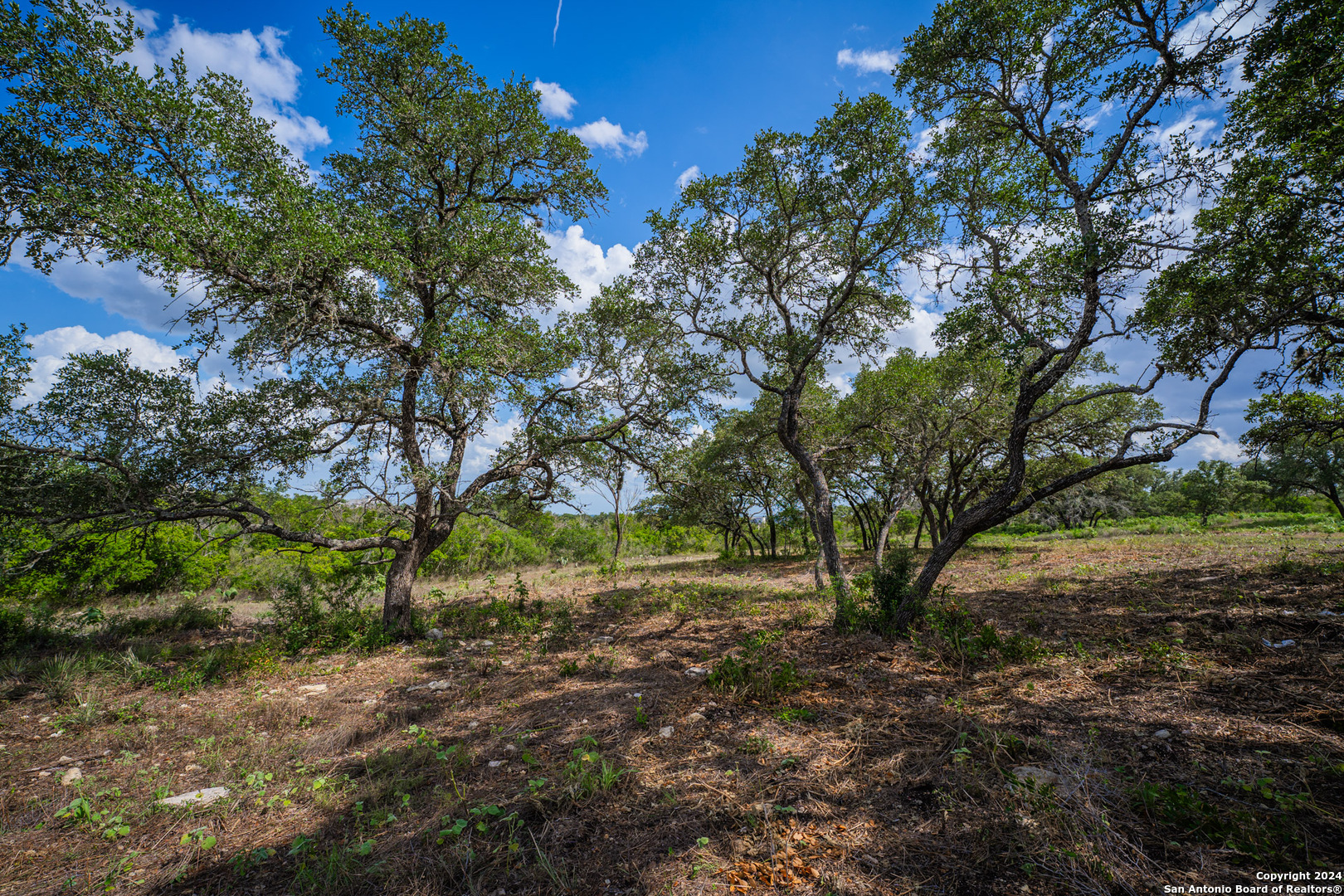 13402 Lucas Circle San Antonio, TX 78245 - Photo 27 of 38