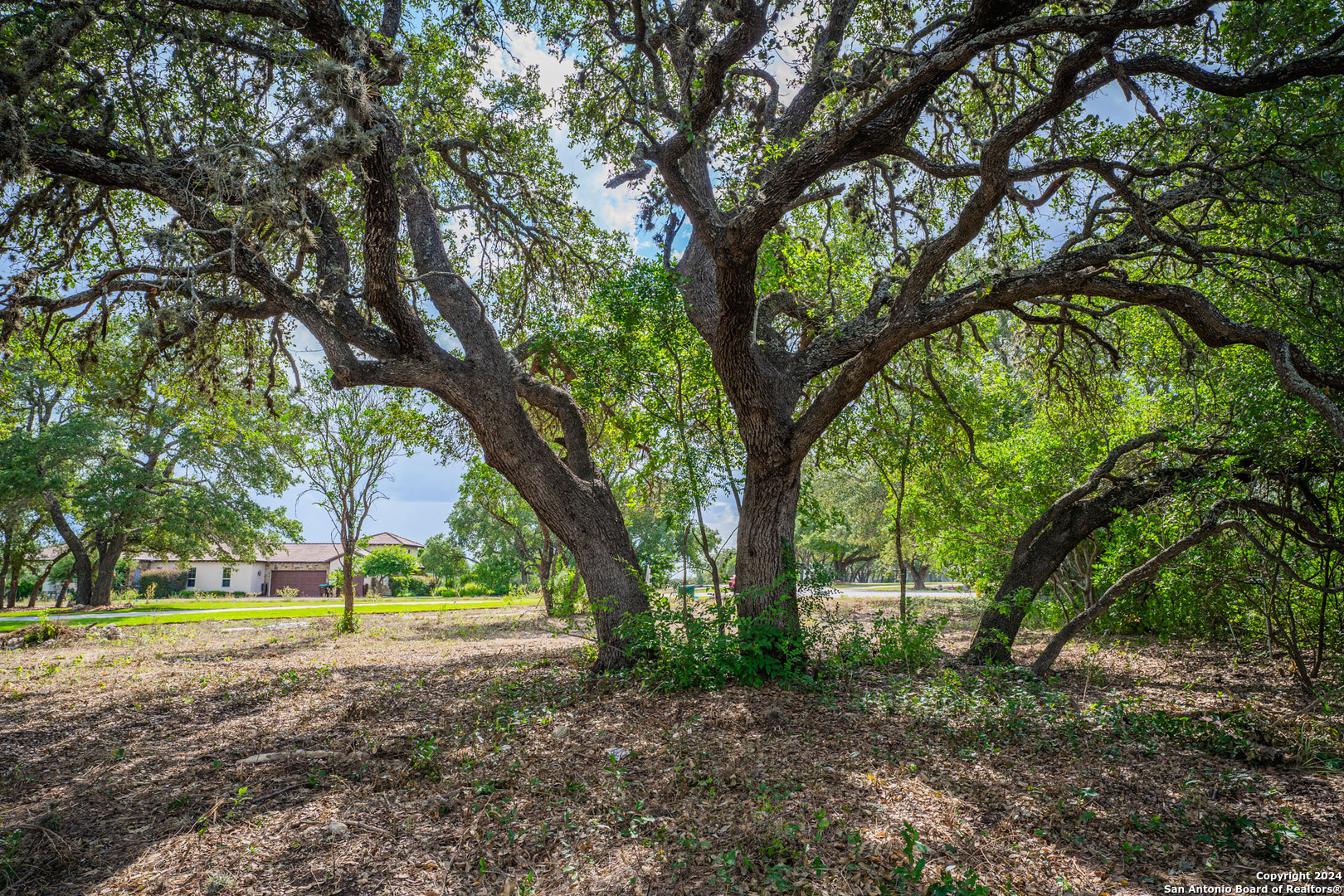 13402 Lucas Circle San Antonio, TX 78245 - Photo 3 of 38