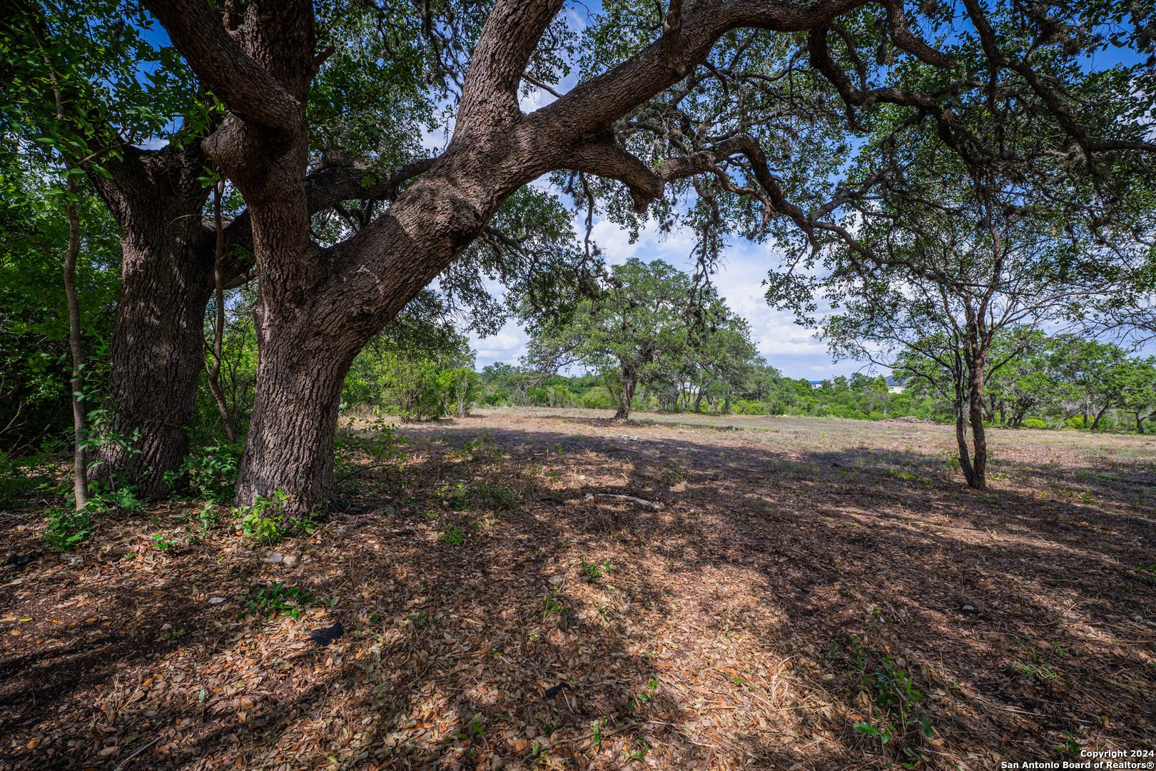 13402 Lucas Circle San Antonio, TX 78245 - Photo 8 of 38