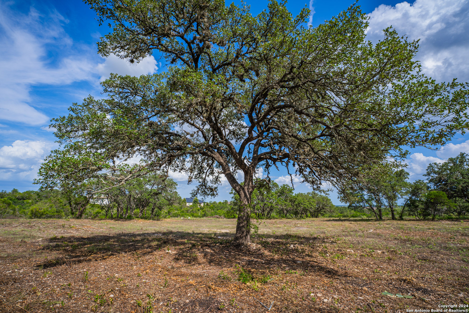 13402 Lucas Circle San Antonio, TX 78245 - Photo 9 of 38