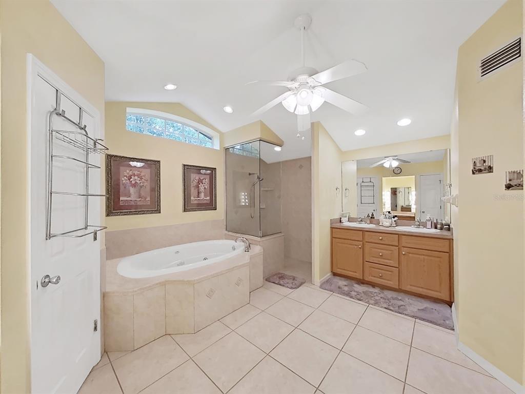 4105 Robinson Road Valrico, FL 33594 - Photo 35 of 58 a bathroom with a sink a toilet and bathtub