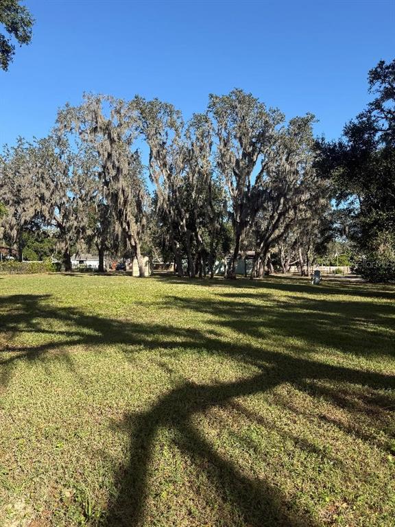 4105 Robinson Road Valrico, FL 33594 - Photo 47 of 58 a view of a golf course with a lake
