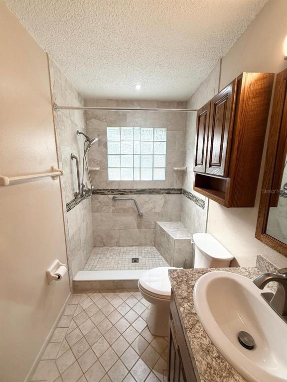 4105 Robinson Road Valrico, FL 33594 - Photo 53 of 58 a bathroom with a sink a toilet and a bathtub