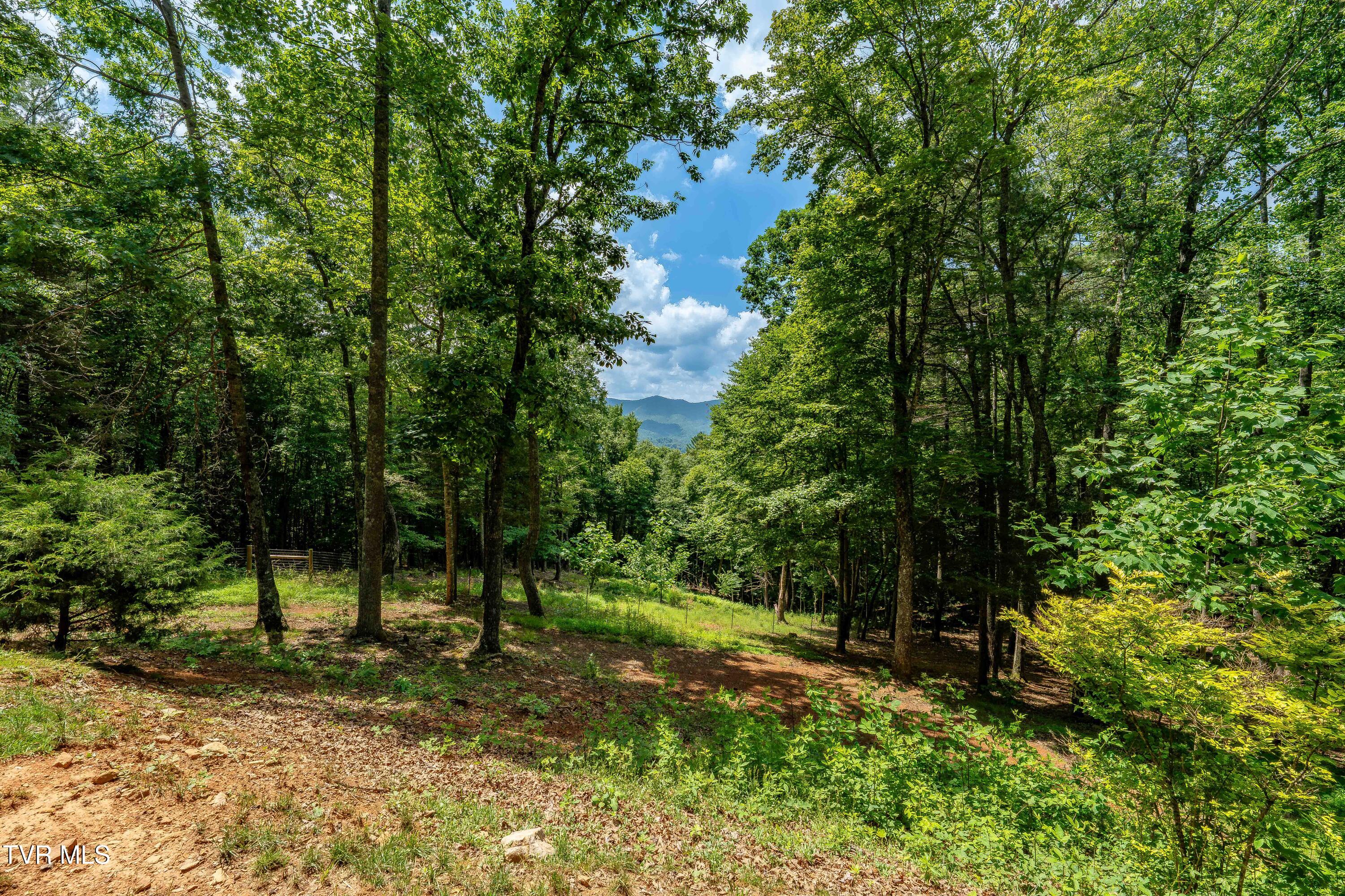 191 Bear Ridge Drive Butler, TN 37640 - Photo 70 of 80 191 Bear Ridge Dr (31 of 80)