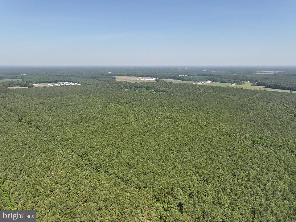 0 Johnson Road Pocomoke City, MD 21851 - Photo 2 of 8 a view of an ocean