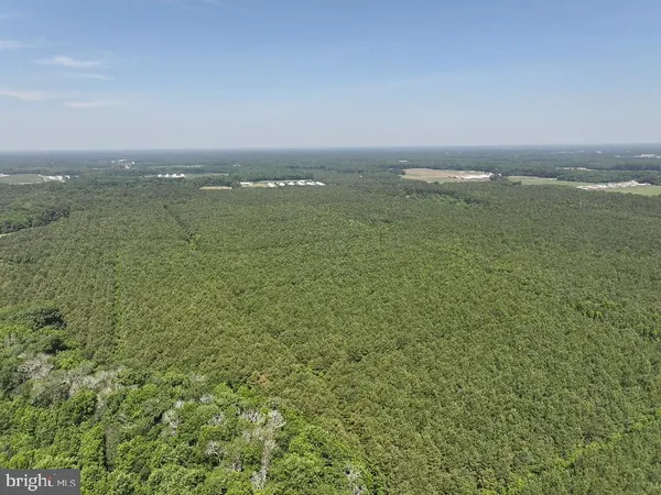 a view of a lake with a city