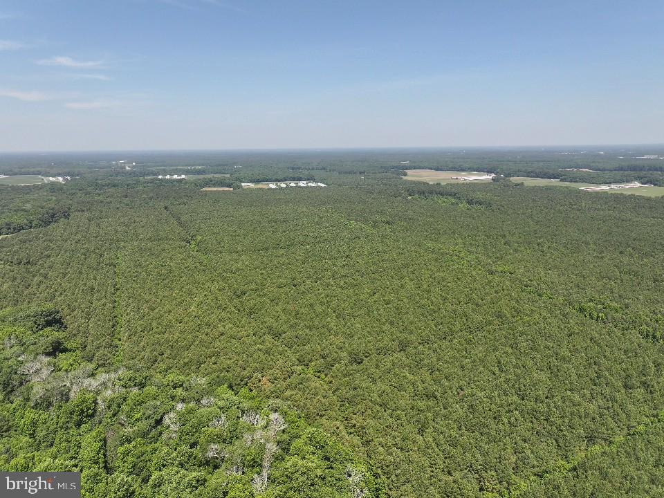 0 Johnson Road Pocomoke City, MD 21851 - Photo 3 of 8