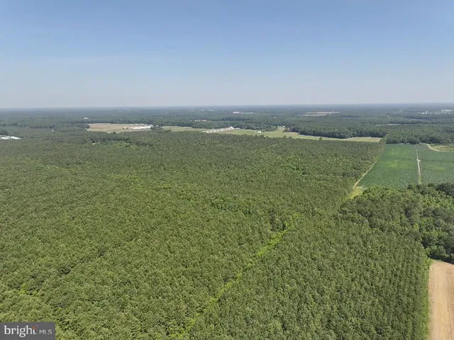 a view of a field with an ocean