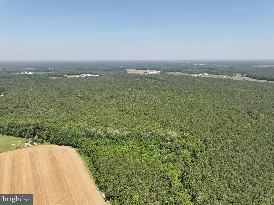 0 Johnson Road Pocomoke City, MD 21851 - Photo 5 of 8 a view of a field with an ocean