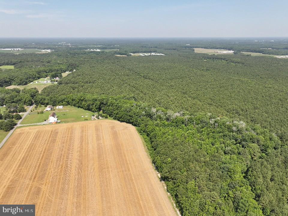 0 Johnson Road Pocomoke City, MD 21851 - Photo 6 of 8 a view of lake view and mountain
