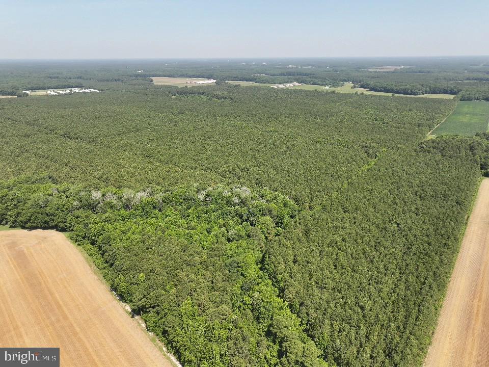 0 Johnson Road Pocomoke City, MD 21851 - Photo 7 of 8 a view of an ocean from a balcony