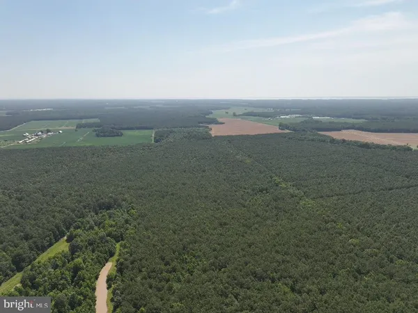 $319,990 | 0 Johnson Road, Pocomoke City, MD 21851