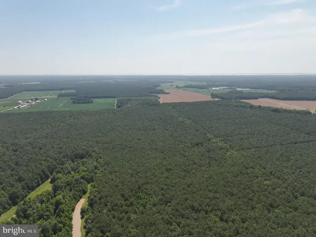 $320,000 | 0 Johnson Road, Pocomoke City, MD 21851