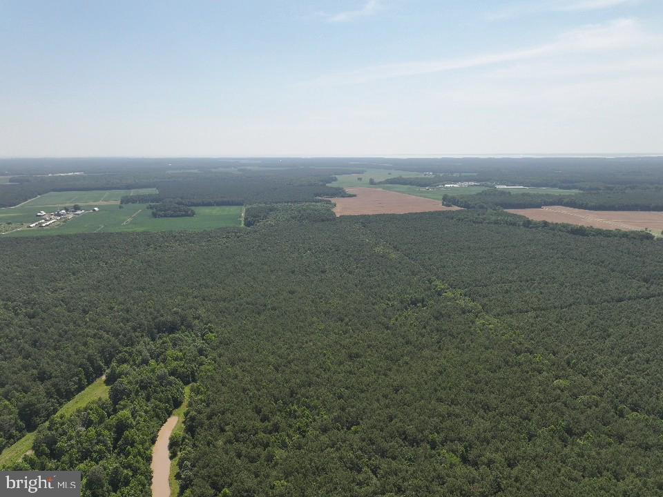 0 Johnson Road Pocomoke City, MD 21851 - Photo 8 of 8 a view of a field with beach