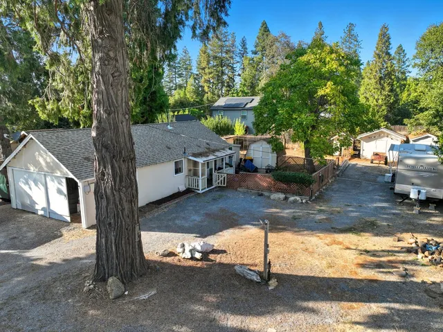a view of a backyard with a tree