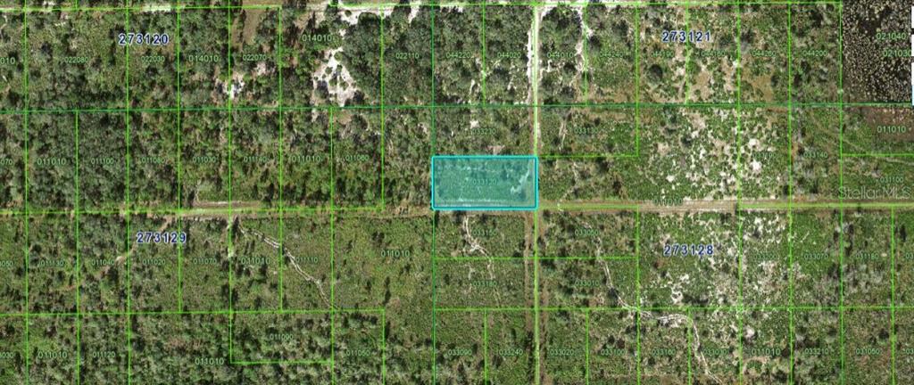 Rhoden Loop Frostproof, FL 33843 - Photo 3 of 4 a view of a garden