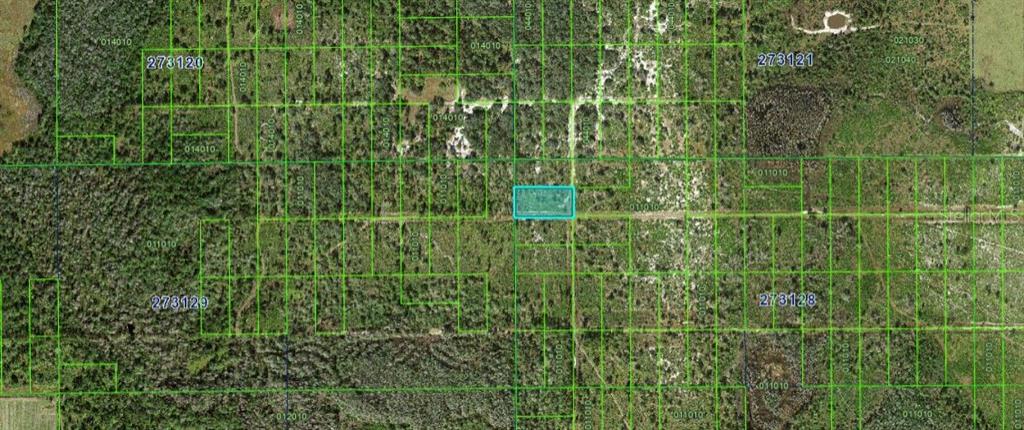 Rhoden Loop Frostproof, FL 33843 - Photo 4 of 4 a view of a backyard