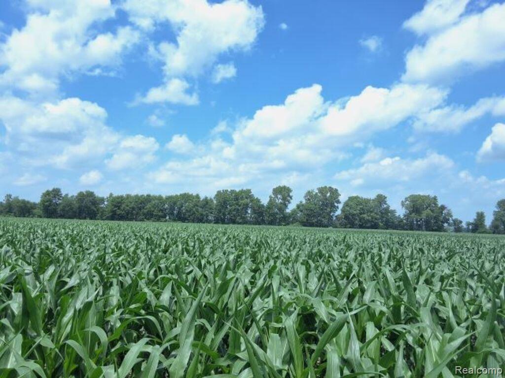 Auction Lot 94 Auction Road Allenton, MI 48002 - Photo 3 of 6