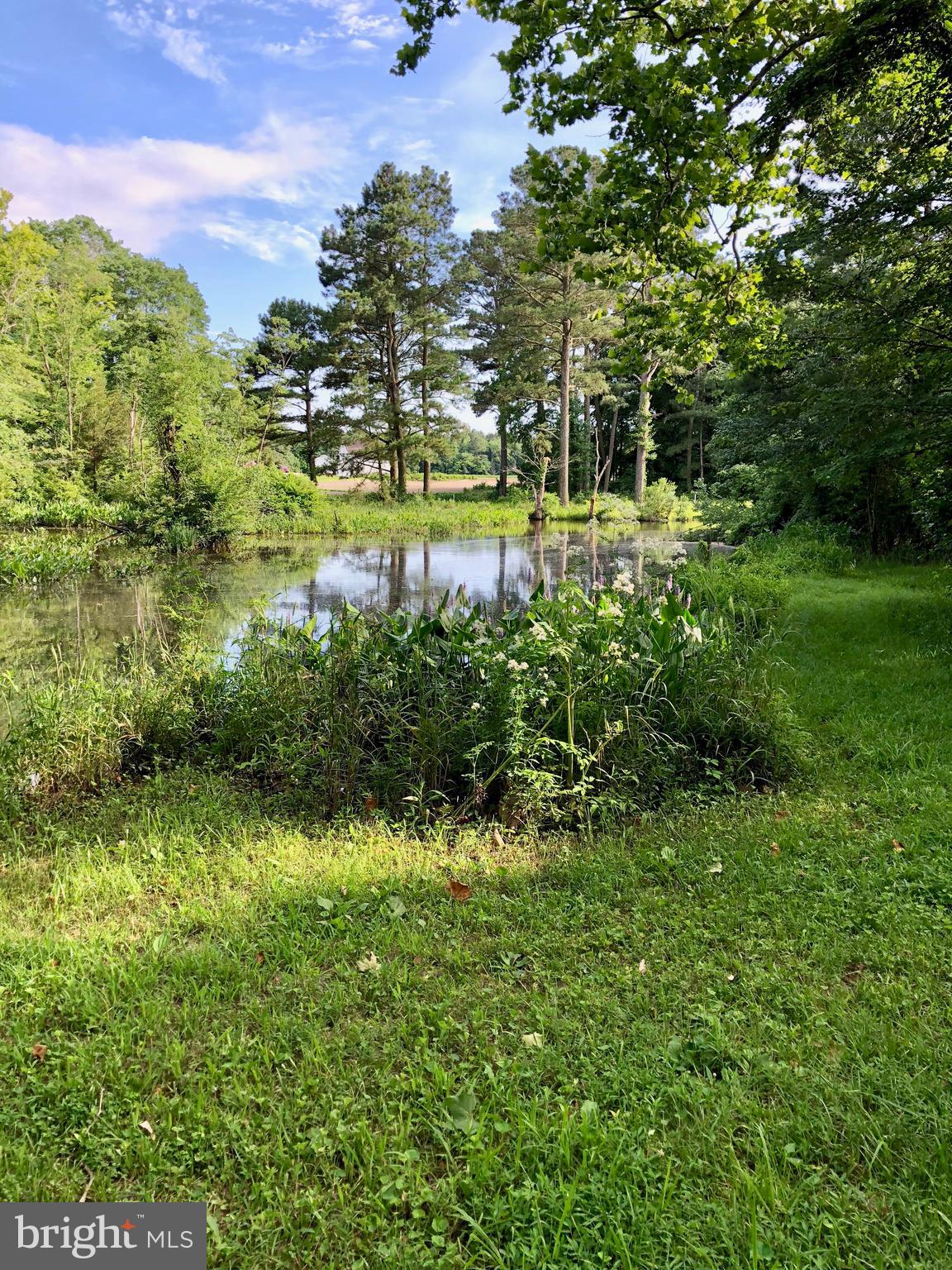 6442 Quantico Road Quantico, MD 21856 - Photo 145 of 146 Beautiful Deeded Right Of Way To Quantico Creek