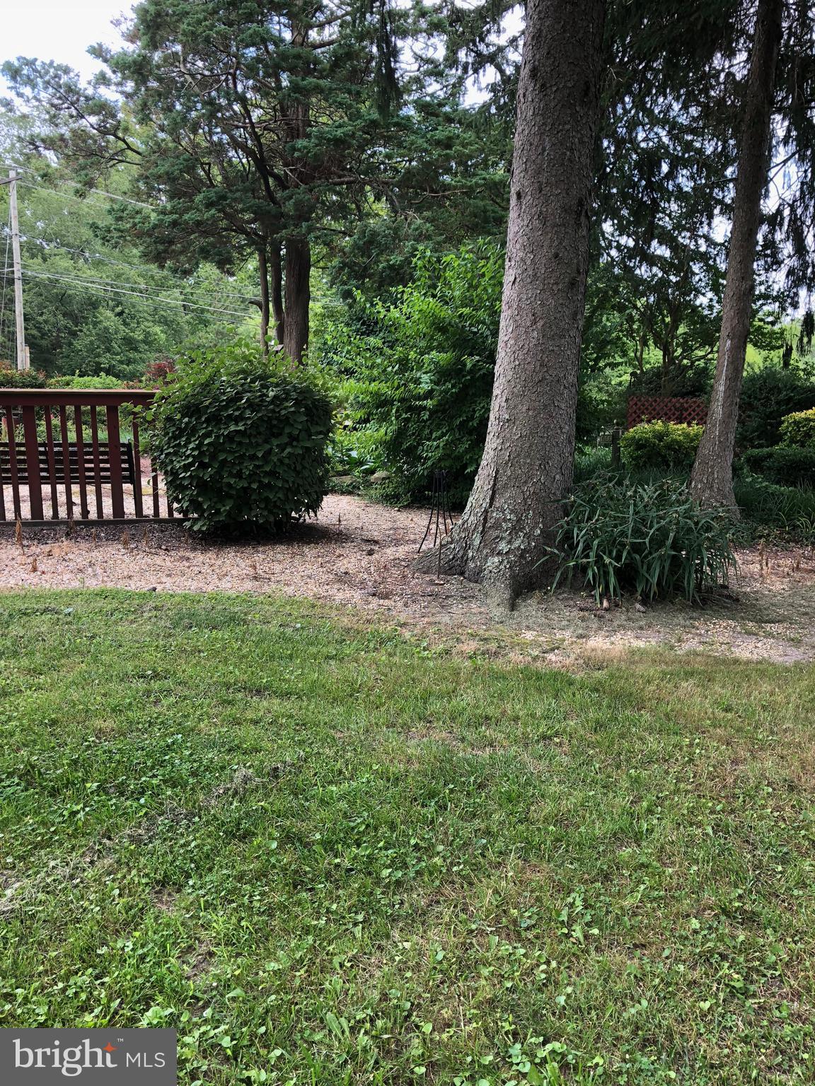 6442 Quantico Road Quantico, MD 21856 - Photo 40 of 146 Yard #27