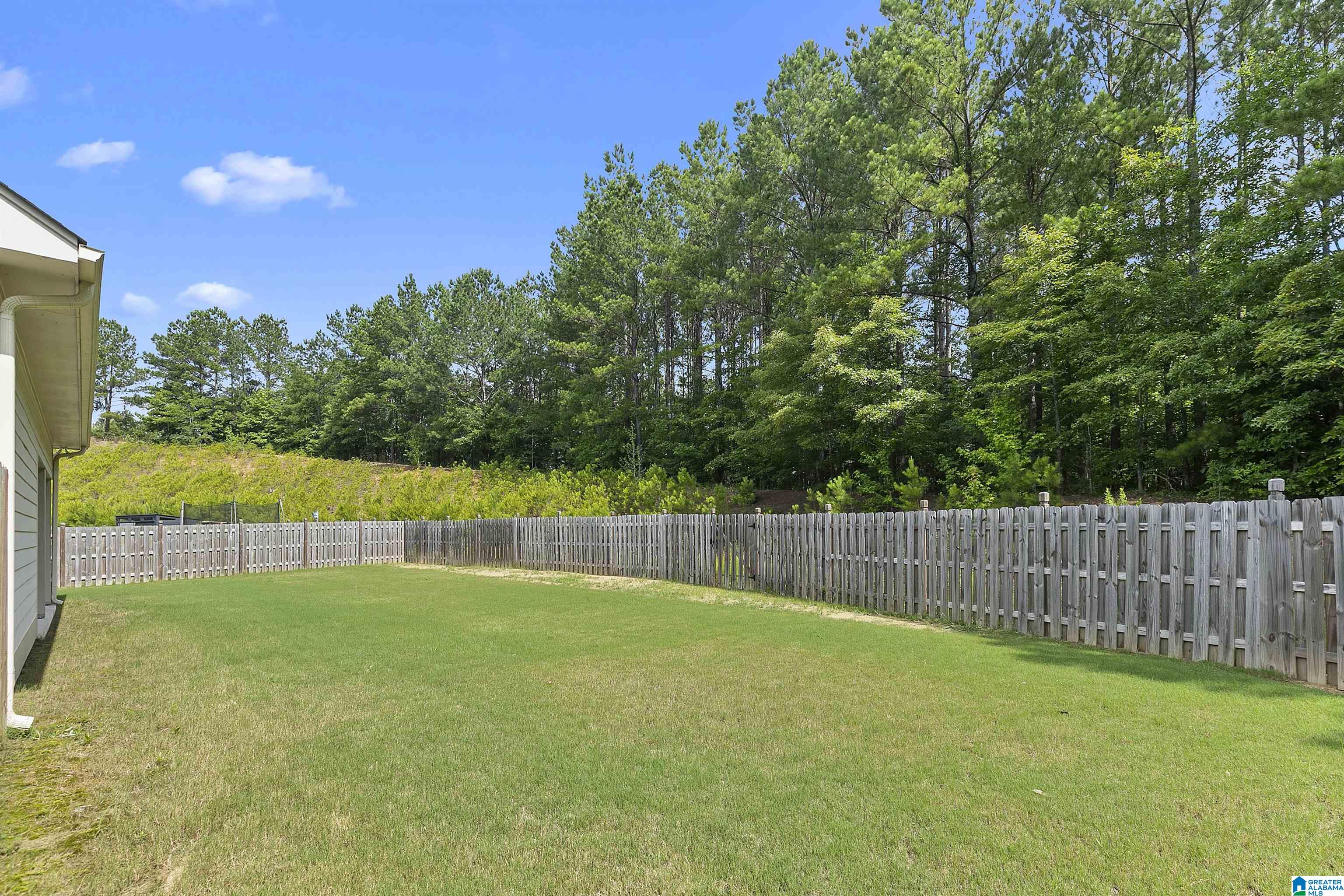 468 Hamilton Place Chelsea, AL 35043 - Photo 41 of 59
