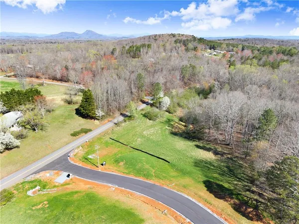 an aerial view of swimming pool