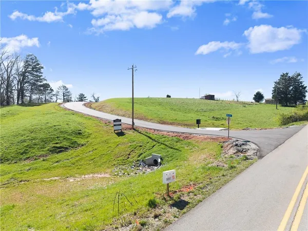 a view of a park with large trees