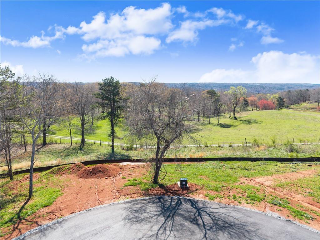 47 White Oak Trail Cleveland, GA 30528 - Photo 28 of 40 a view of a garden with an ocean beach