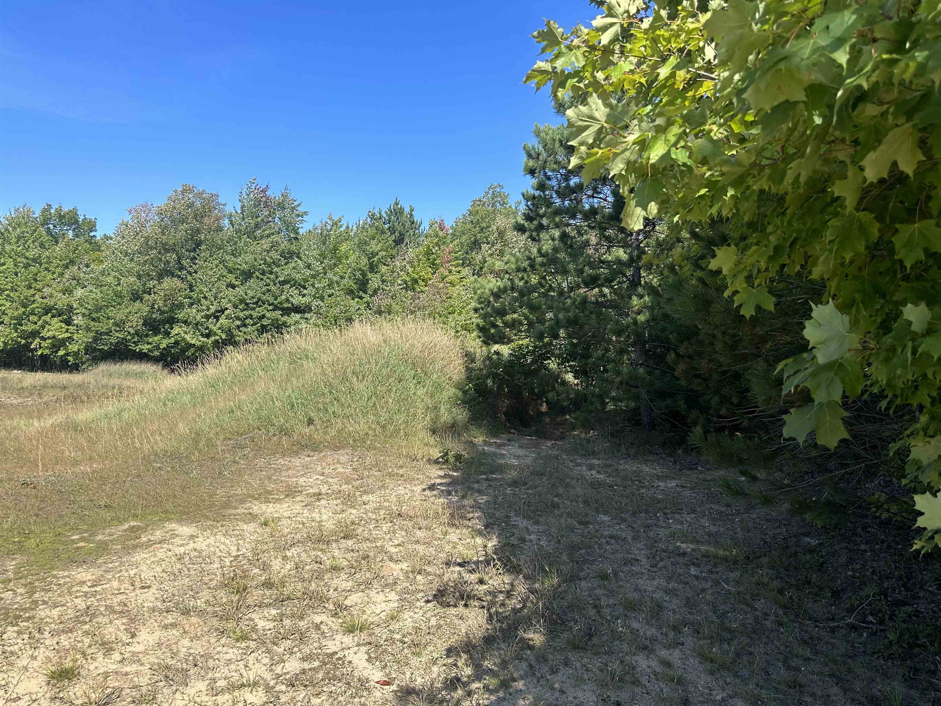 0 Viaduct Road Copemish, MI 49625 - Photo 14 of 19